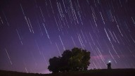 Horóscopo Chino: la doble lluvia de estrellas de septiembre traerá fortuna inesperada y un manto de paz a 4 signos del Zodiaco