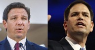 Ron DeSantis, Marco Rubio in double digits in Republican presidential poll