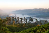 This 300km trail through Sri Lanka's dramatic tea country made the annual 'World's Greatest Places' list. Here's what it's like to hike it