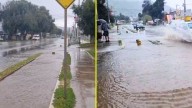 Imágenes muestran calle completamente inundada por intensas lluvias en Illapel