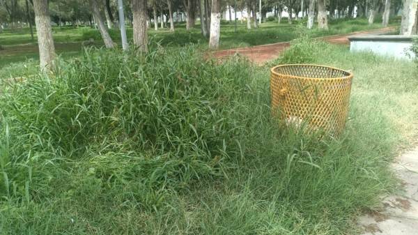 Reportan usuarios descuido de la deportiva centro