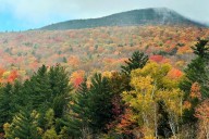 Fall foliage tracker 2025: Where and when to go leaf peeping throughout the U.S.