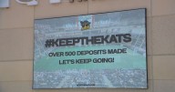 Nashville Kats arena football team are permanently moving to Clarksville, becoming the city's first pro team