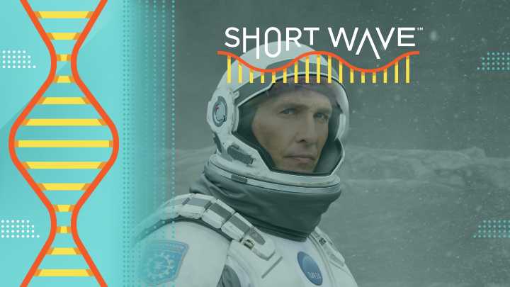 The physics behind 'Interstellar' : Short Wave : NPR