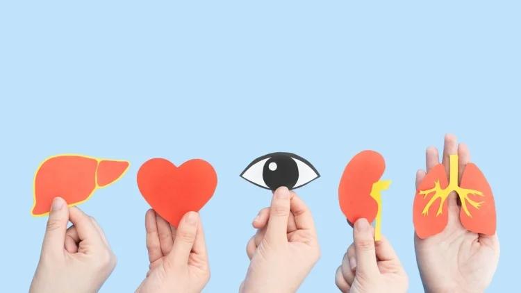 Donación de órganos: Construyendo un futuro más brillante