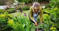UK gardeners told to plant this one flower now before cold weather sets in