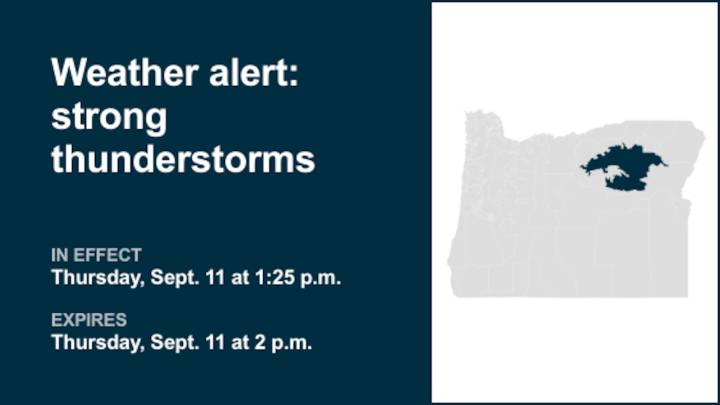 Update: Thunderstorms with marble-sized hail in Southern Blue Mountains of Oregon Thursday