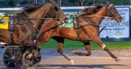 Batavia features displayed International flair on Saturday