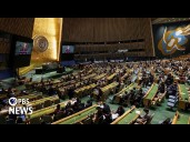 WATCH: What to expect at this week's U.N. General Assembly