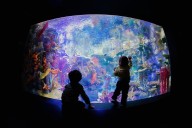 San Diego museums and attractions free for kids in October