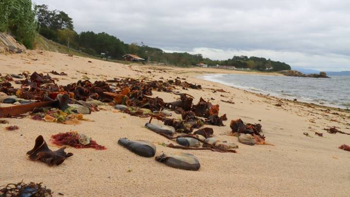 La descarga del sábado en A Pobra supera los 3.500 kilos de cocaína, que llegaron en narcosubmarino