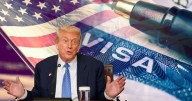 Visa H1B 2025: qué es, cómo solicitarla y cuánto cuesta tras el aumento de tarifas de Trump