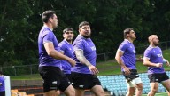 Están Los Pumas para la revancha en Sydney