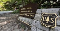 Hiker dies after 40-foot fall at Red River Gorge's Whittleton Arch in Powell County