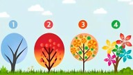 Test de personalidad: elige un árbol y descubre cómo es tu personalidad