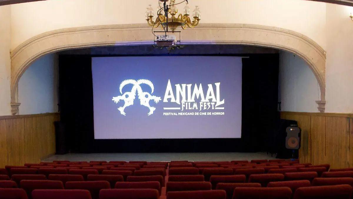 Destaca ANIMAL Film Fest la participación de cineastas michoacanos en su edición 2025