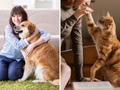 ¿Son más felices las personas que tienen perros que las que tienen gatos? Esto dice la ciencia