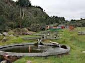 Gobierno otorga más de S/ 243,000 en créditos a acuicultores de Madre de Dios