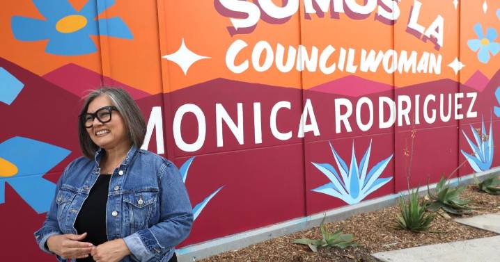 What is Monica Rodriguez running for?