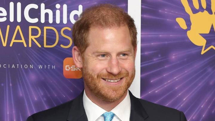 Prince Harry intends to spend more time with King Charles in the coming year