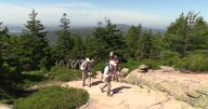 Visit a state park for free with your library card