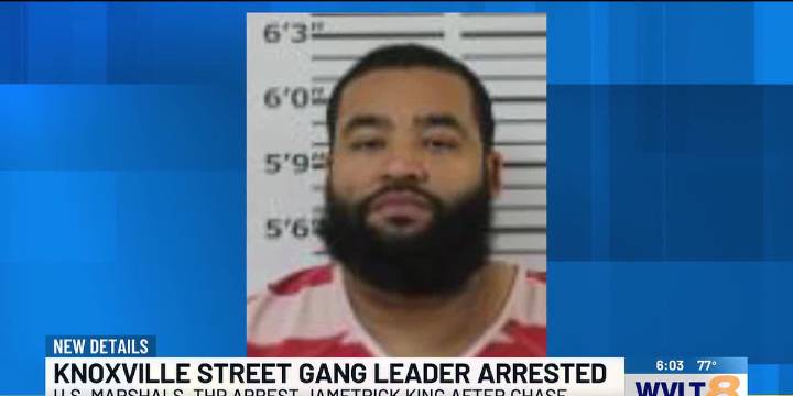 Known Knoxville gang leader arrested after pursuit, police say