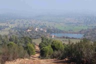 Venden una exclusiva finca de caza en Ciudad Real: pantanos, 200 vacas y casa de lujo con 20 dormitorios