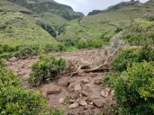 Sudan landslide kills more than 1,000 people after wiping out entire village in Darfur