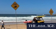Sydney shark net trial on hold after deadly attack