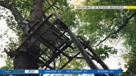 Tree stand safety emphasized for hunters by Michigan DNR