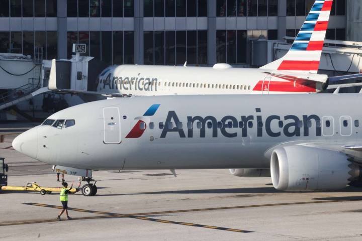American Airlines Flight Turns Around After 'Multiple Bird Strikes'