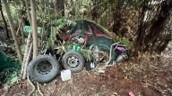 New Zealand police investigate how a man hid his 3 children in a forest for years without discovery