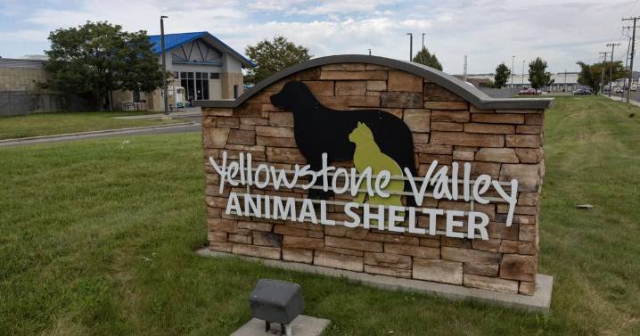 FBI incinerating meth forces closure of Billings animal shelter