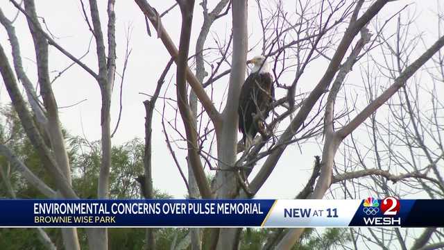 Osceola's Pulse memorial faces pushback over hazard to birds
