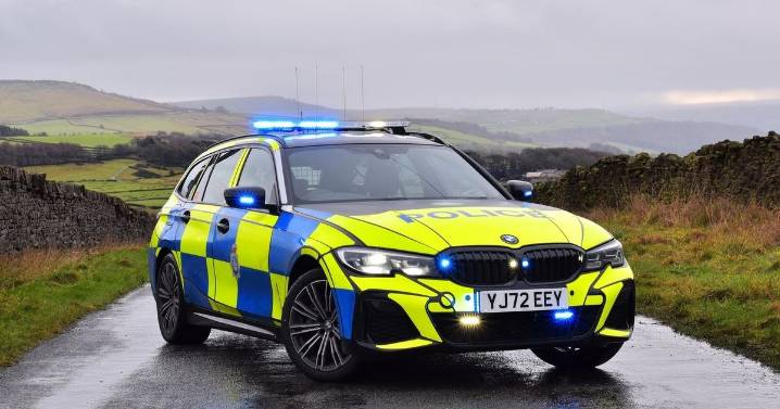 Girl, 10, killed by family XL Bully in caravan in North Yorkshire, inquest hears