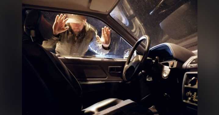Auto theft numbers in Halton trending down