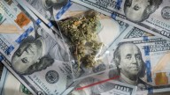 California Reports More Than $500 Million in Cannabis Tax Revenue This Year