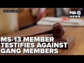 MS-13 member testifies against fellow gang members in trial involving Baltimore murders