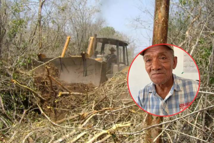 Deforestación en Hopelchén: Productores revelan cómo se negocia el uso de tierras con menonitas
