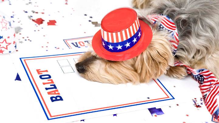 Woman Faces Charges After Registering Dog To Vote, Sharing Ballot Photo