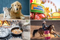 Things To Do Around East Texas This Weekend