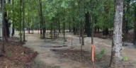 ‘Our dream home has now become a nightmare’: Midlands homeowners frustrated after ongoing flooding in backyard