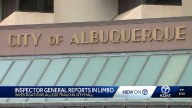 Multiple inspector general reports in limbo, Councilor Lewis demands their release