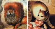 “Medieval Cats”: 57 Photos Proving That Humans Have Always Been Obsessed With Cats