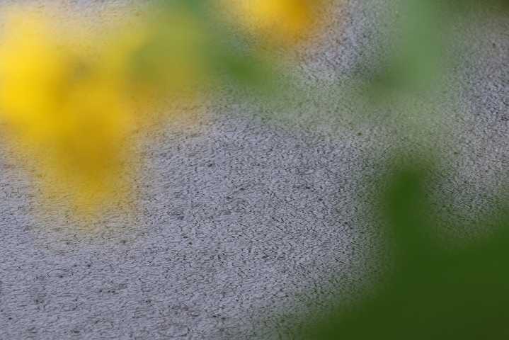 September rain
