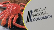 Fiscalía Nacional Económica denuncia a siete empresas por colusión en el mercado de la centolla