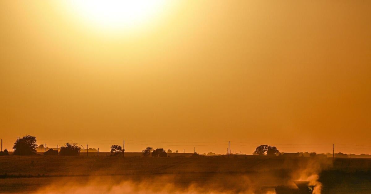 Harvest underway as crops mature quickly under warm skies during dry week