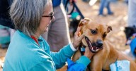 Barktoberfest returns next month