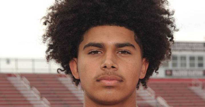 Jonas Williams ties state passing touchdown record as Lincoln-Way East rolls over Naperville Central – Shaw Local