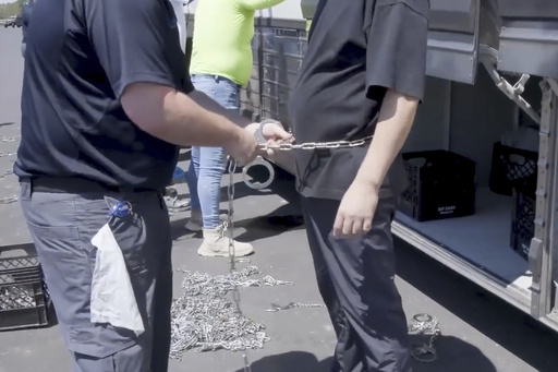 Surcoreanos se sienten traicionados por detención de trabajadores en planta de Georgia